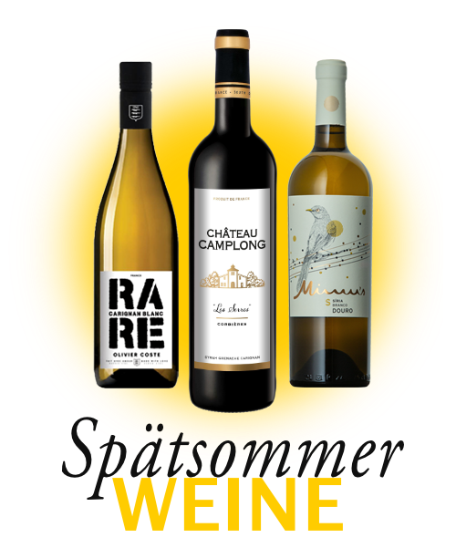 WeinVilla Webshop