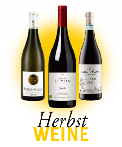 WeinVilla Webshop Herbstweine