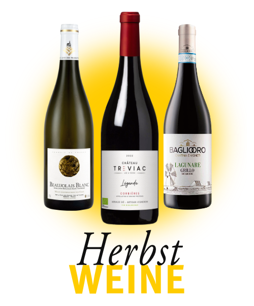 WeinVilla Webshop Herbstweine