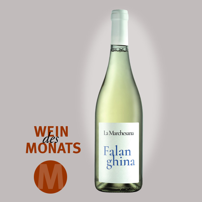 La Marchesana Falanghina