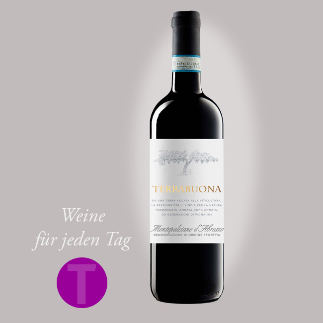 Cantina Tollo Prova A.2